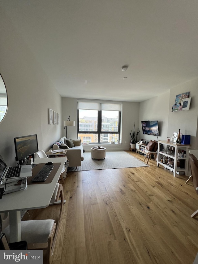 living room featuring wood-type flooring