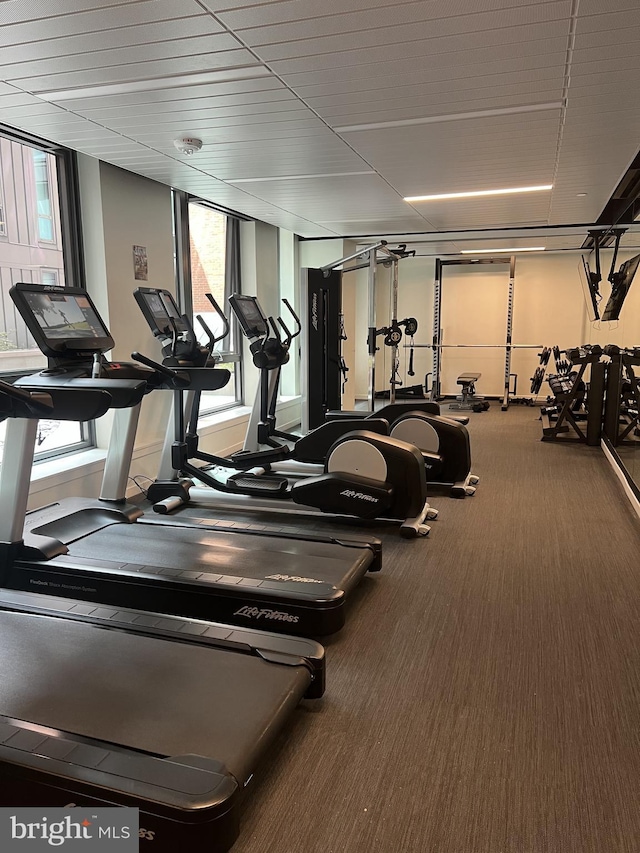 exercise room featuring carpet flooring