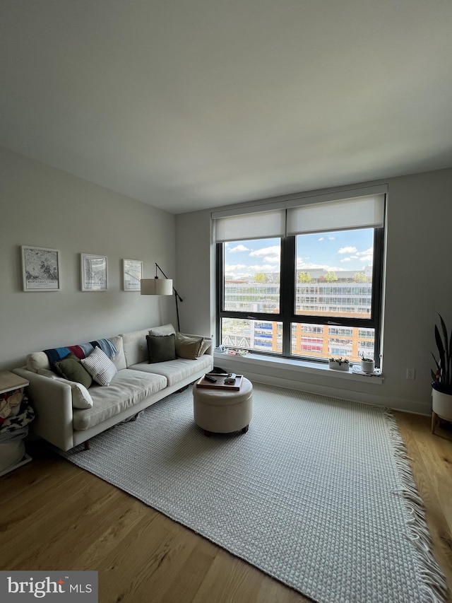 living room featuring hardwood / wood-style floors