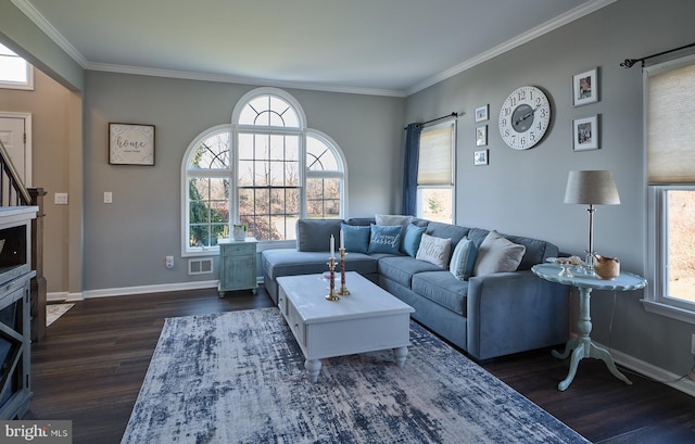 living room with a wealth of natural light, dark wood-type flooring, and ornamental molding