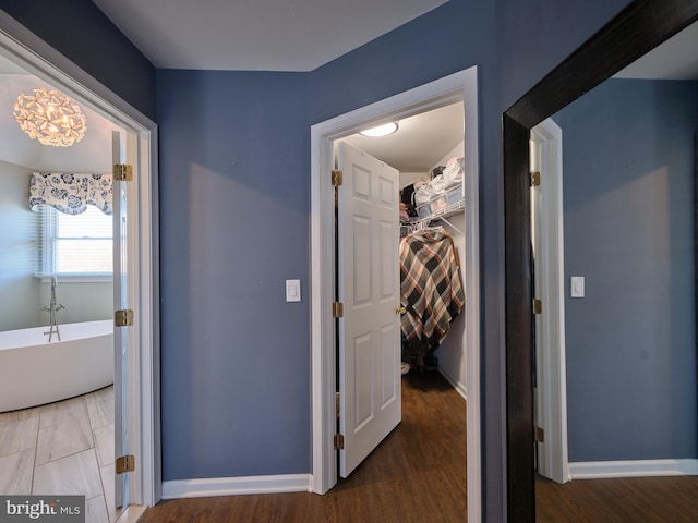 hallway with dark hardwood / wood-style floors