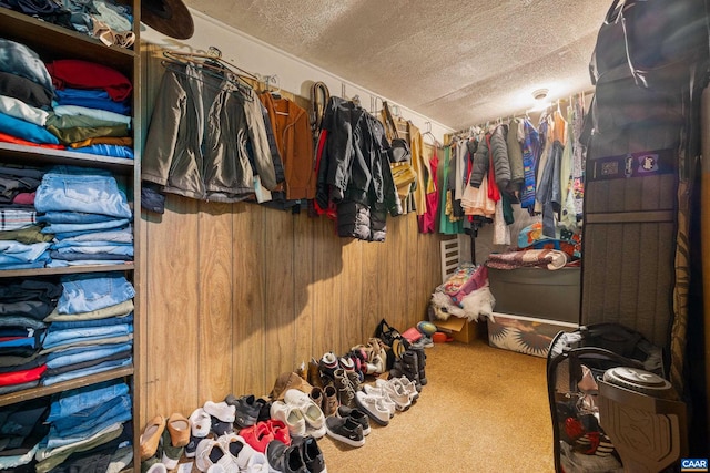 walk in closet with carpet