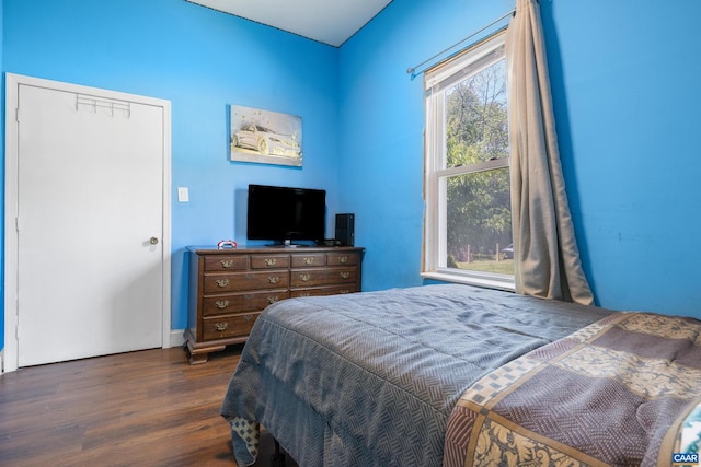 bedroom with dark hardwood / wood-style flooring and a closet