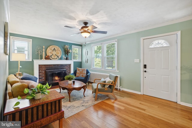 living room featuring radiator, ceiling fan, crown molding, a fireplace, and hardwood / wood-style flooring