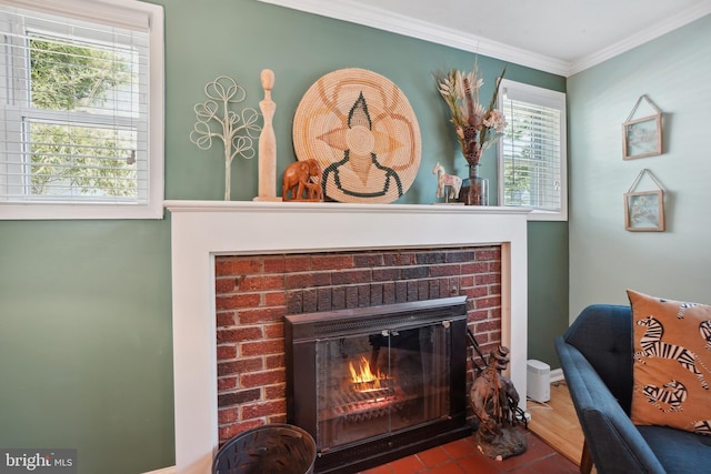 details featuring crown molding and a fireplace