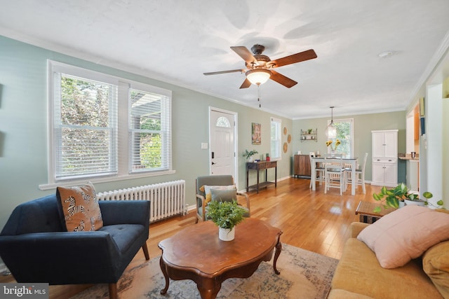 living room featuring radiator, crown molding, light hardwood / wood-style flooring, and ceiling fan