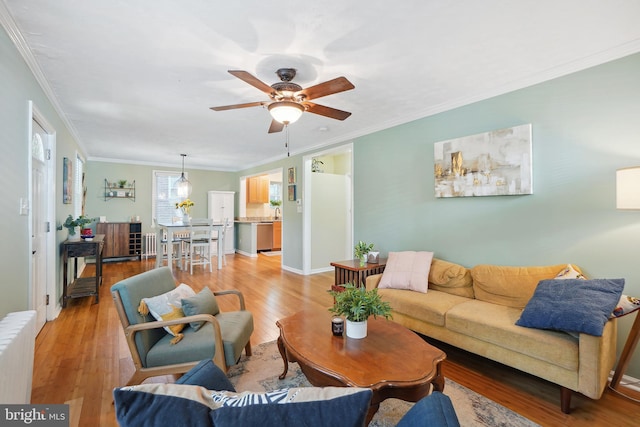 living room featuring radiator heating unit, light hardwood / wood-style flooring, ceiling fan, and ornamental molding