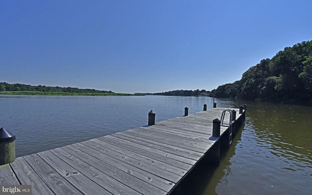 dock area with a water view