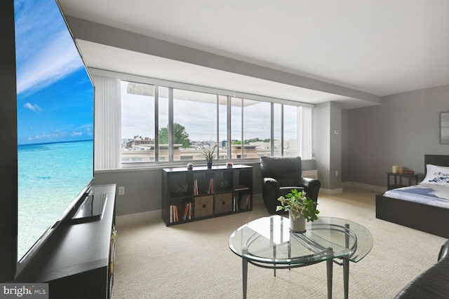 living room with light carpet