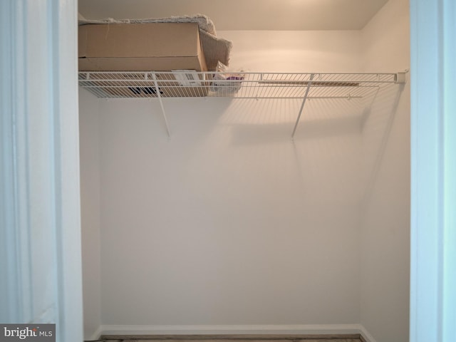 view of walk in closet