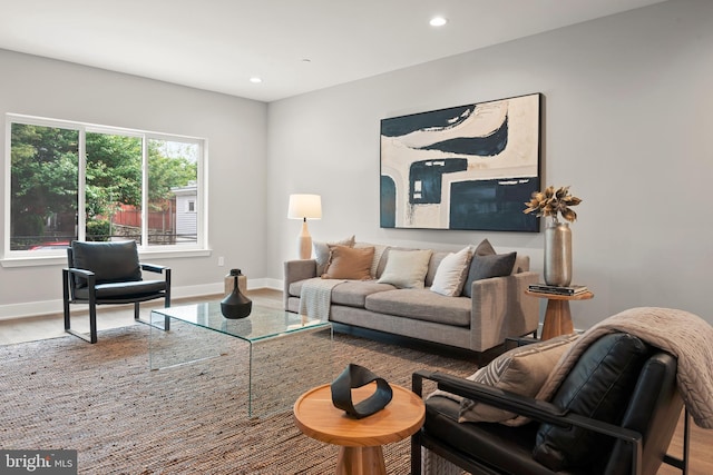 living room with wood-type flooring