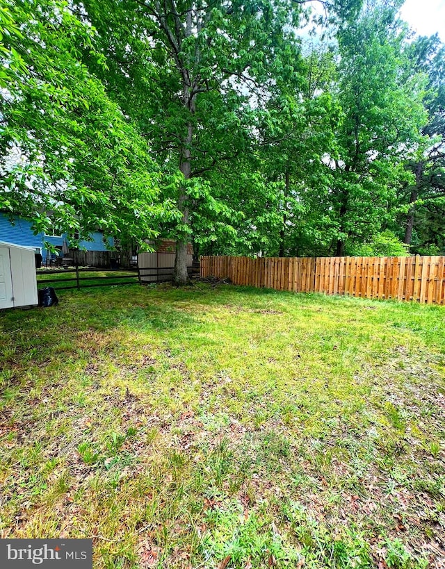 view of yard featuring a shed