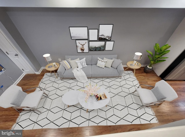 living room featuring wood-type flooring