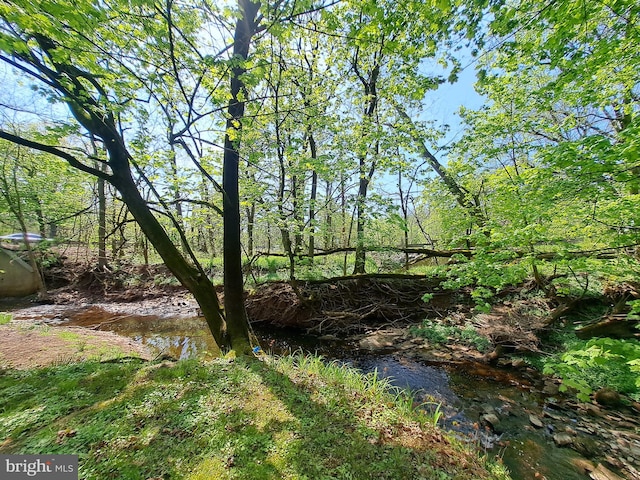 view of local wilderness featuring a water view