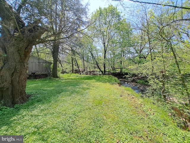 view of yard with a water view