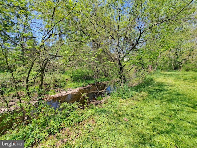 view of yard with a water view