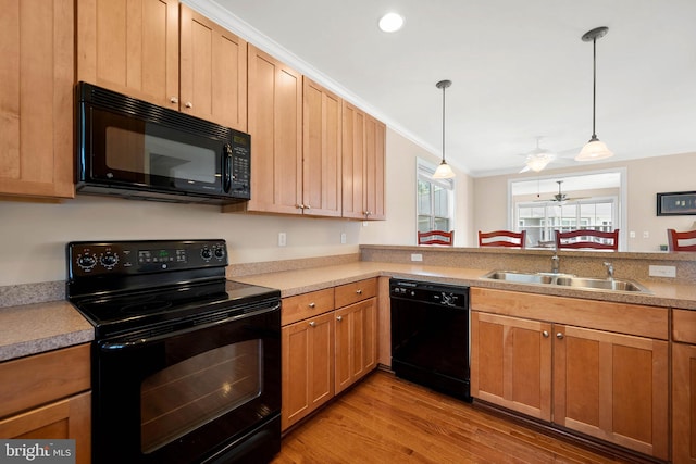 kitchen with pendant lighting, sink, crown molding, light hardwood / wood-style flooring, and black appliances