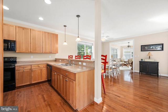 kitchen featuring crown molding, sink, hardwood / wood-style floors, and black appliances