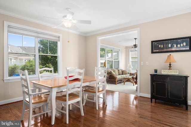 dining room with ornamental molding, dark hardwood / wood-style floors, and ceiling fan