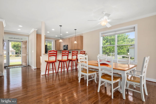 dining space with ceiling fan, ornamental molding, and dark hardwood / wood-style flooring