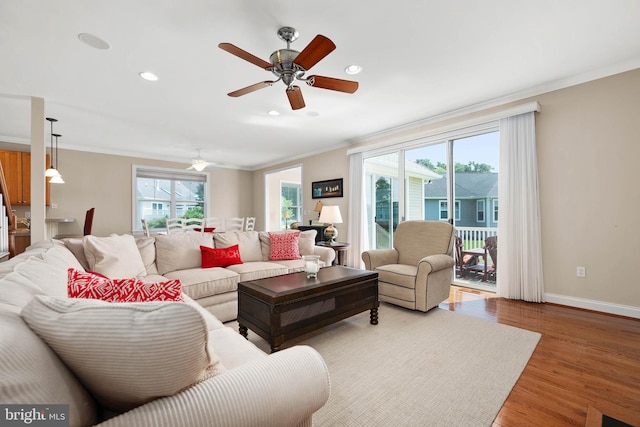 living room with a wealth of natural light, hardwood / wood-style floors, ceiling fan, and crown molding