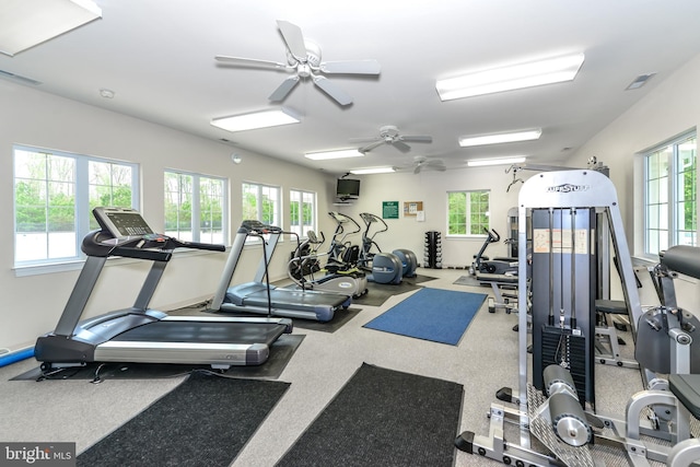 exercise room with carpet flooring and ceiling fan