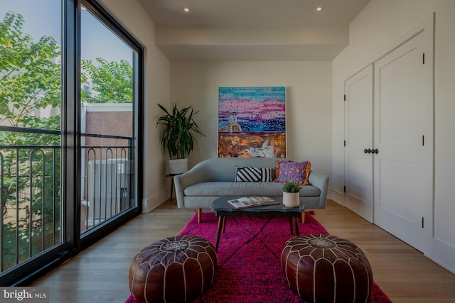 living room featuring light hardwood / wood-style flooring