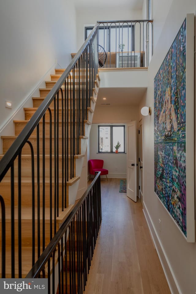 staircase featuring plenty of natural light and hardwood / wood-style floors