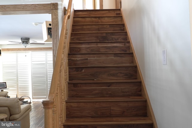 stairs featuring hardwood / wood-style floors and ceiling fan