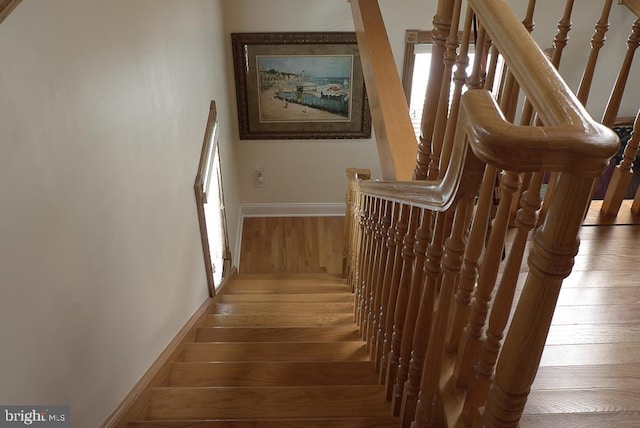 stairway with hardwood / wood-style flooring