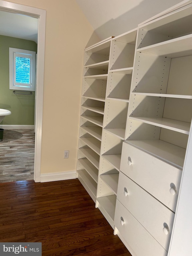 view of closet