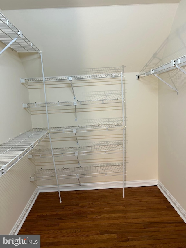 walk in closet featuring wood-type flooring