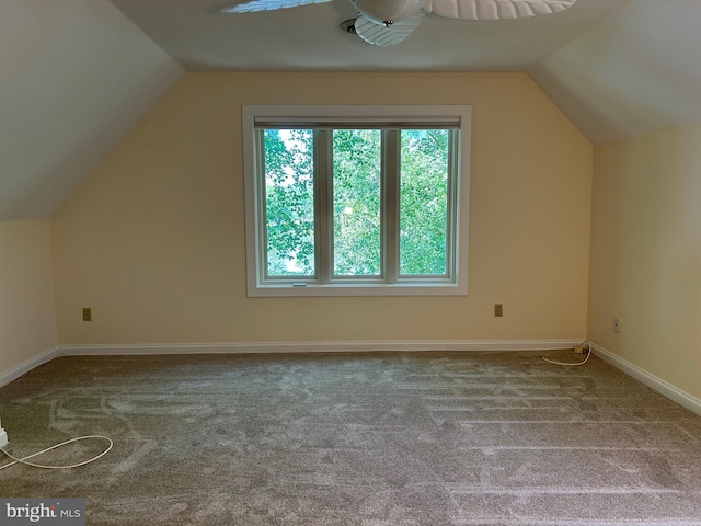 additional living space featuring carpet floors and vaulted ceiling