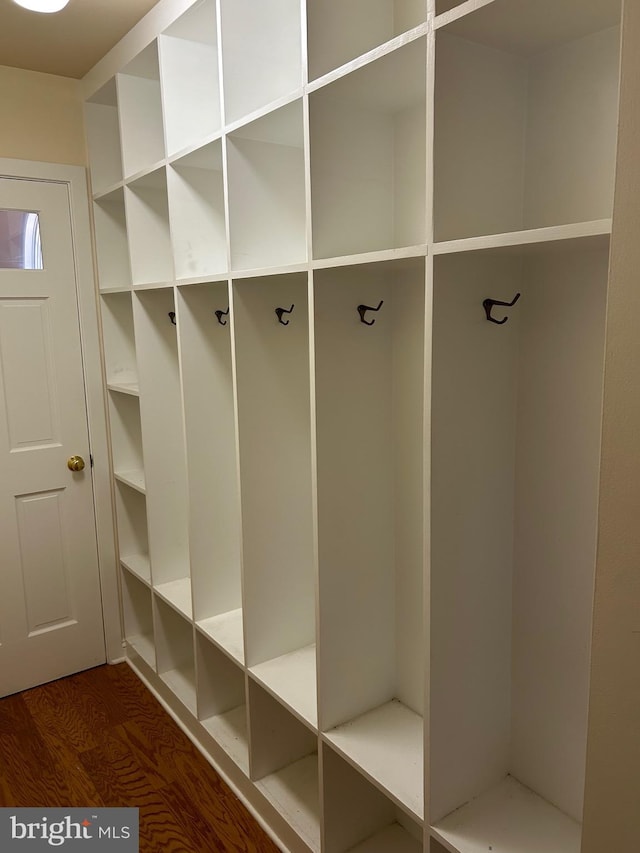 mudroom featuring dark wood-type flooring