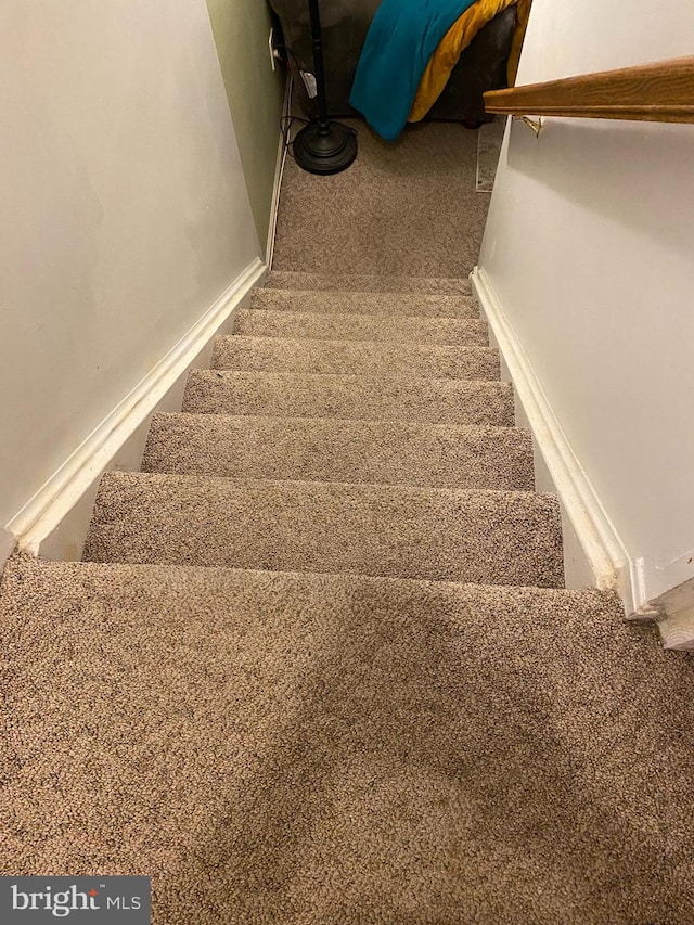 staircase with carpet