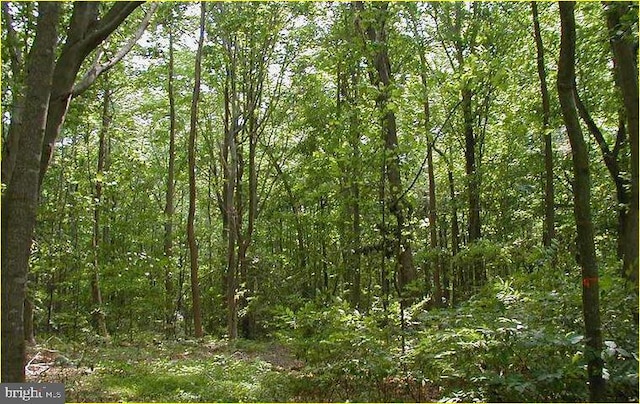 12605 Cedarville Rd, Brandywine MD, 20613 land for sale