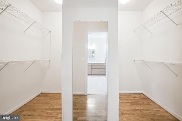 spacious closet with hardwood / wood-style floors