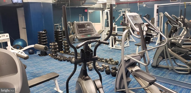 workout area with carpet