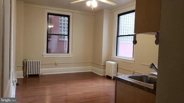 kitchen featuring wood-type flooring, plenty of natural light, radiator, and sink