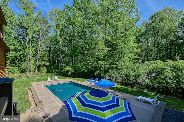 view of pool featuring a patio area and a yard