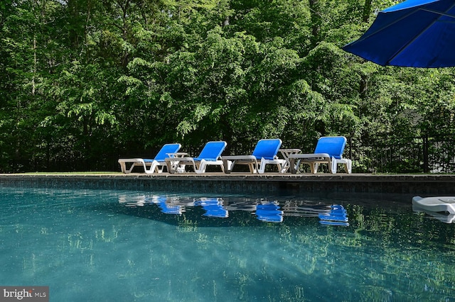 view of swimming pool