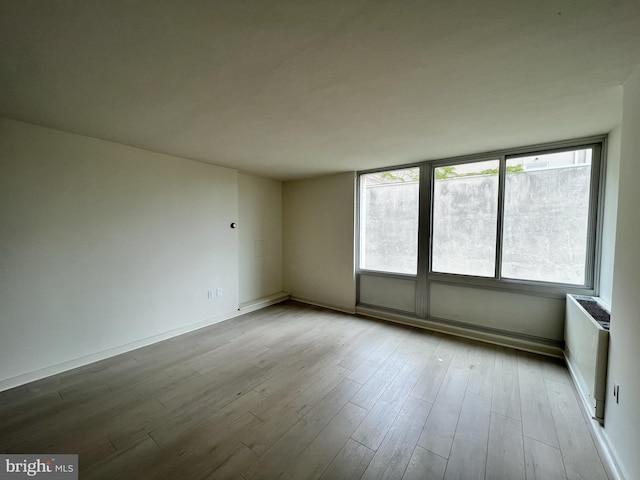 unfurnished room featuring a healthy amount of sunlight and light wood-type flooring