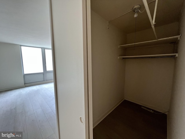 walk in closet featuring hardwood / wood-style flooring