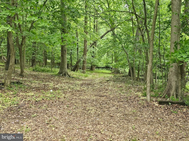 view of landscape