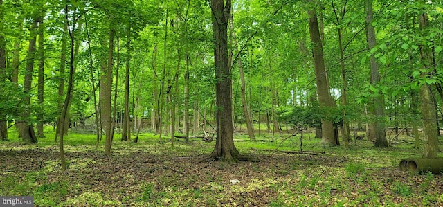 view of landscape