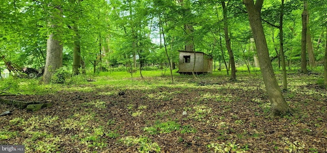 view of yard featuring a storage unit