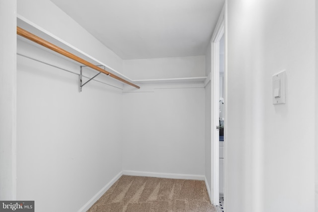 walk in closet with carpet floors