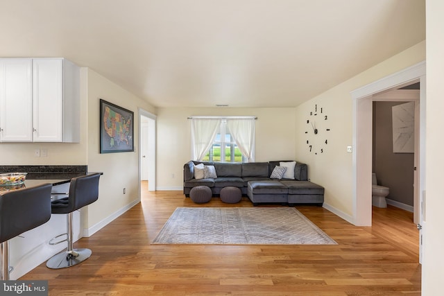 living room with light wood-type flooring