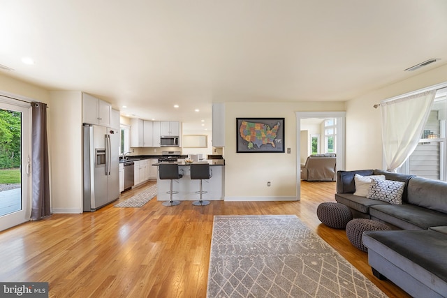 living room featuring light wood-type flooring and a wealth of natural light