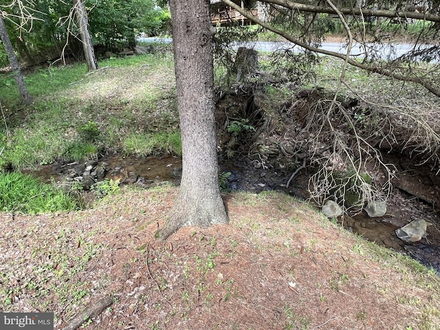 view of nature featuring a water view